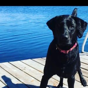 Meet your Posher, Lisa